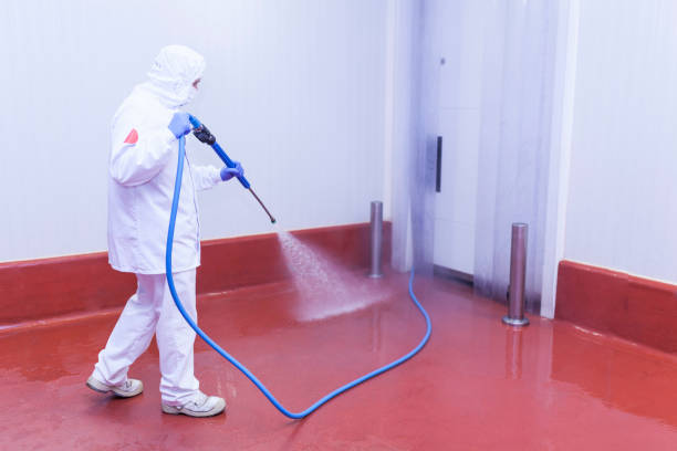 Best House Exterior Washing  in Twisp, WA